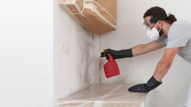 Professional Crawl Space Mold Removal technician working in Scotts, MI